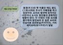 [일본문화] 일본음식의 특징과 종류 및 다양한 사진들 7페이지