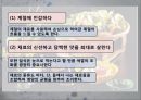 [일본문화] 일본음식의 특징과 종류 및 다양한 사진들 10페이지