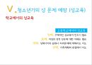 [청소년 복지] 청소년기의 성 심리, 청소년 성문제 실태, 원인, 청소년기 성문제 예방방안과 전망 42페이지