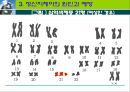 [특수교육학개론] 정신지체아의 정의, 분류, 정신지체아 교육, 진단과 평가, 정신지체아 원인과 예방 및 교육 26페이지