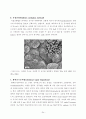  개발대상 기술(TiO2계 광촉매 특징), 국내외 개발 동향 & 개발대상 관련기술의 기존 연구개발 내용 분석(TiO2 나노물질의 합성, TiO2 개질, 광촉매 반응과 영향인자) &  시장동향 27페이지