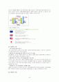 환경과 위험 (일상의 환경, 지구온난화, 유전자 변형식품, 지속 가능한 개발) 보고서 18페이지