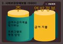 [SSI, SSDI] 보충보장소득, 사회보장장애보험, 국민기초생활보장제도 각각에 대한 분석 발표자료 13페이지