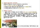 [일본문화] 일본의 주거문화 (일본 주택의 특징, 주거형태, 주거예절, 가옥의 구조 등) 33페이지