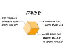 [한국경제] 정부규제, 출자총액 제한의 현황과 문제점 및 규제완화의 필요성 및 대책 14페이지