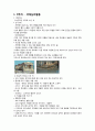 사이버강의 내 삶속의 색 요약문(9~11주차)과 성찰문 2페이지