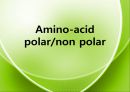 아미노산의 종류를 극성과 비극성으로 분류하여 정리 Amino-acid polar/non polar.pptx 1페이지