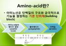 아미노산의 종류를 극성과 비극성으로 분류하여 정리 Amino-acid polar/non polar.pptx 4페이지