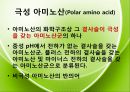 아미노산의 종류를 극성과 비극성으로 분류하여 정리 Amino-acid polar/non polar.pptx 7페이지