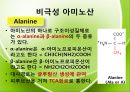 아미노산의 종류를 극성과 비극성으로 분류하여 정리 Amino-acid polar/non polar.pptx 14페이지