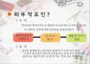 지능과 지각의 내부적, 외부적, 상황적 요인과 구조.pptx 19페이지