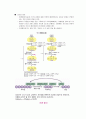 막걸리 발효 및 제조원리 (막걸리발효,막걸리,막걸리 제조,알코올 발효,젖산발효) 2페이지