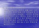 장애인생활시설 해든솔 - 사회복지현장실습, 실습기관분석 PPT자료 19페이지