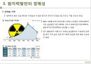 [원자력발전] 원자력발전의 개념, 원자력발전의 위험성, 원자력 발전의 경망 12페이지