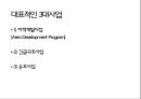 [NGO 기관 레포트] 한국 해비타트의 역할, 설립목적, 활동, 전망 분석 14페이지