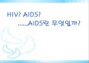 [AIDS] 에이즈의 원인, 감염경로, 증상, 검사, 치료, 예방방안 레포트 17페이지