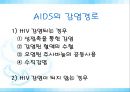 [AIDS] 에이즈의 원인, 감염경로, 증상, 검사, 치료, 예방방안 레포트 34페이지