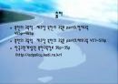 북한의 특수층 자녀교육의 실태와 북한의 영재교육 분석 9페이지