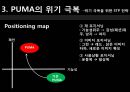 푸마 PUMA 위기극복위한 마케팅전략 분석및 푸마 소비자행동분석 10페이지