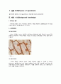 일반생물학 및 실험 1 - 현미경의 종류, 구조, 기능 및 세포의 길이 측정 2페이지