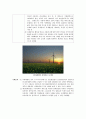  세계의 그린 IT 정책 보고서 - 네덜란드 : 친환경 에너지 정책 (지속가능한 전기공급 - 블루에너지 ) & 일본 : 신재생에너지 정책 (이와테현을 중심으로 한 풍력・바이오매스 활용 증가) 4페이지