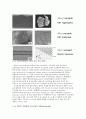 고분자 신소재 공학 - 탄소나노튜브 국제표준화 동향 4페이지