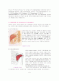 [해부학] “등”근육 분포도 & 척추와 연결된 각 내부장기와 기능 4페이지