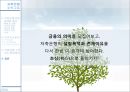 [★우수레포트★][저축은행] 저축은행 사태의 실태와 문제점 및 수익구조 분석, 수익구조 쇄신방안 제언 33페이지