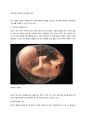 태아기와 영아기의 발달 단계 - 태아기(수정~출산까지), 영아기(출생~2세) 1페이지