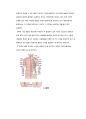 경락미용 -12가지의 수요경락과 독맥, 임맥 등의 단계 및 역할이해 9페이지