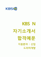 KBSN자기소개서 + 면접기출문제-KBSN(신입드라마개발) 자기소개서 합격예문 [KBSN자소서KBS N 채용첨삭항목] 1페이지