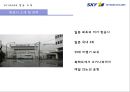 SKY MARK 스카이마크 항공 (スカイマーク/Skymark Airlines) (항공사, 항공사 경영, 재무현황, 기업전략, 일본 항공사 시장, 저가항공사, 외부, 내부 마케팅 전략).pptx 4페이지