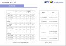 SKY MARK 스카이마크 항공 (スカイマーク/Skymark Airlines) (항공사, 항공사 경영, 재무현황, 기업전략, 일본 항공사 시장, 저가항공사, 외부, 내부 마케팅 전략).pptx 8페이지