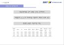 SKY MARK 스카이마크 항공 (スカイマーク/Skymark Airlines) (항공사, 항공사 경영, 재무현황, 기업전략, 일본 항공사 시장, 저가항공사, 외부, 내부 마케팅 전략).pptx 10페이지