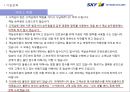 SKY MARK 스카이마크 항공 (スカイマーク/Skymark Airlines) (항공사, 항공사 경영, 재무현황, 기업전략, 일본 항공사 시장, 저가항공사, 외부, 내부 마케팅 전략).pptx 14페이지