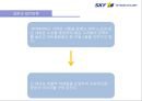 SKY MARK 스카이마크 항공 (スカイマーク/Skymark Airlines) (항공사, 항공사 경영, 재무현황, 기업전략, 일본 항공사 시장, 저가항공사, 외부, 내부 마케팅 전략).pptx 25페이지