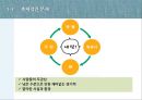 k리그 문제질 대책-K리그 마케팅전략,한국축구의 현실,브랜드마케팅,서비스마케팅,글로벌경영,사례분석,swot,stp,4p 12페이지