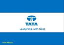 TATA자동차-TATA기업분석,TATA경영전략사례,브랜드마케팅,서비스마케팅,글로벌경영,사례분석,swot,stp,4p 1페이지