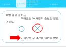 감사의 계획- 감사의 진행과정,매입 및 매입채무 소개 30페이지