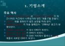 애플-기업분석,애플마케팅겨영사례,애플광고마케팅,광고 소개 및 광고전략분석 4페이지