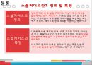 소셜커머스시장-국내 시장환경분석,티켓몬스터 기업분석,티켓몬스터 마케팅성공사례,브랜드마케팅,서비스마케팅,글로벌경영,사례분석,swot,stp,4p 4페이지