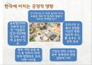 유럽발 재정위기-유로존 통합 구조의 문제,EU의 역할 20페이지