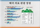 의료관광 산업- 활성화 방안,선진사례 비교,의료관광의 현황,비교사례,싱가포르 태국,브랜드마케팅,서비스마케팅,글로벌경영,사례분석,swot,stp,4p 30페이지