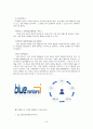 [제네시스 마케팅전략]현대차 제네시스 마케팅전략분석과 제네시스 CRM,서비스전략분석과 제니시스 현 문제점분석 및 새로운 마케팅전략 제안 레포트 16페이지