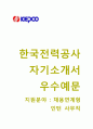 [한국전력공사자기소개서 + 면접기출문제] 한국전력공사(채용연계형인턴사무직) 자기소개서 우수예문, 한국전력공사자소서인턴사원채용첨삭항목 1페이지