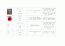 아동미술요소가 있는 책 100권 목록화_미술관련동화, 미술동화책, 아동미술 18페이지