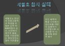 세월호 참사와 한국 사회의 문제점 4페이지