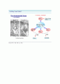 그린에너지와 미래 강의 노트 54페이지