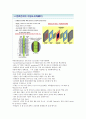 그린에너지와 미래 강의 노트 59페이지