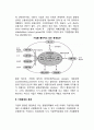 [기업환경] 환경유형의 진단 2페이지